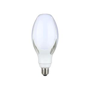 led žárovka 1x36 W 6500 K E27 21285