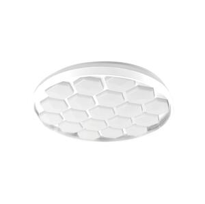 LED Stmívatelné stropní svítidlo LED/60W/230V 3000/4000/6500K + DO