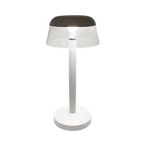 LED Stm. nabíjecí dotyková stolní lampa LED/3W/5V 3000-6000K bílá