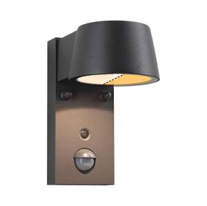 Paulmann Paulmann 94714 - LED/6W IP44 Venkovní nástěnné svítidlo se senzorem CAPERA 230V
