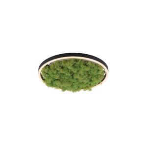 JUST LIGHT. JUST LIGHT. 15391-66 - LED Stmívatelné stropní svítidlo GREEN RITU LED/20W/230V