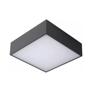Lucide Lucide 27816/10/29 - LED Koupelnové stropní svítidlo ROXANE LED/12W/230V IP54