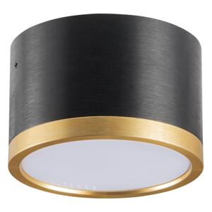LED Stropní svítidlo MIRELLA 1xGX53/6W/230V černá/zlatá