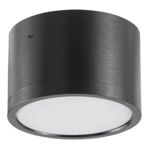 LED Stropní svítidlo MIRELLA 1xGX53/6W/230V černá