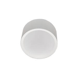 LED Koupelnové stropní svítidlo PERCI LED/30W/230V IP40 4000K bílá