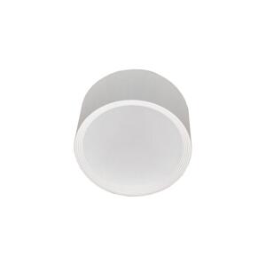 LED Koupelnové stropní svítidlo PERCI LED/30W/230V IP40 4000K bílá