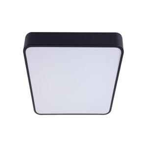 LED Stropní svítidlo FELIZ LED/50W/230V 4000K 40x60 cm černá