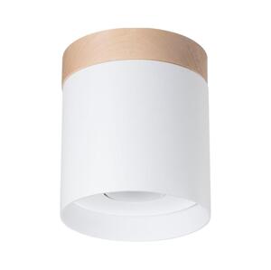 SL.1348 - Bodové svítidlo RIF 1xGU10/10W/230V bílá