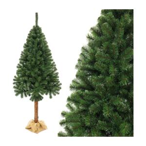 Vánoční stromek na kmenu 160 cm jedle EL-JP160
