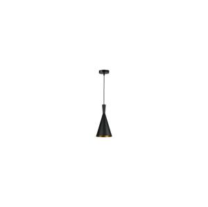 Lustr na lanku PINIO 1xE27/60W/230V pr. 19 cm černá
