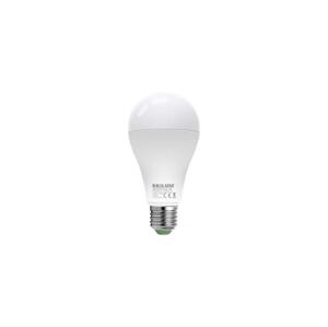 LED Žárovka LEDSTAR ECO A65 E27/18W/230V 3000K