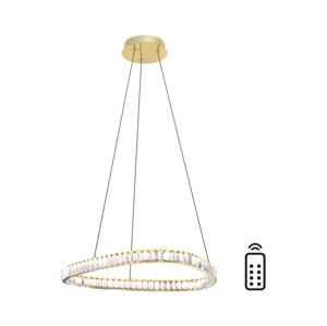 Zuma Line Zuma Line MD3169-1-3GT - LED Lustr na lanku ATHESA LED/25W/230V 2700-6000K + DO