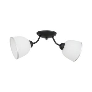 Stropní svítidlo AVIA 2xE27/60W/230V