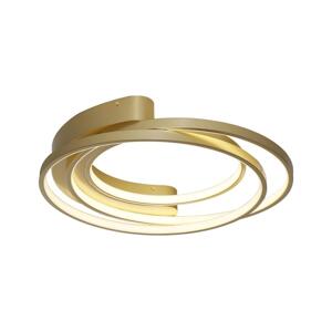Rabalux Rabalux 71288 - LED Stropní svítidlo HOLIZE LED/50W/230V