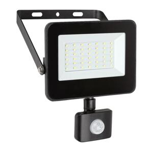 Rabalux Rabalux 7068 - LED Reflektor se senzorem FLOOD LED/30W/230V 4000K IP44 černá