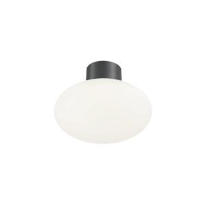 Ideal Lux Ideal Lux - Venkovní stropní svítidlo CLIO 1xE27/42W/230V IP44 antracit