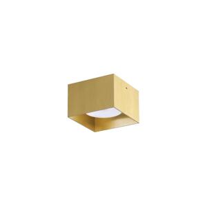 Ideal Lux Ideal Lux - LED Stropní svítidlo SPIKE 1xGX53/9W/230V zlatá