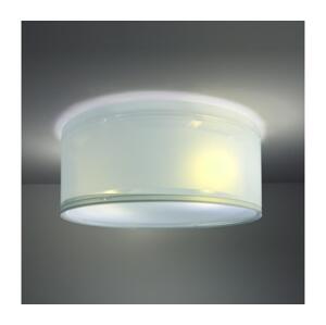 Dalber Dalber 42006T - Dětské stropní svítidlo COLOR LIGHT 2xE27/15W/230V modrá