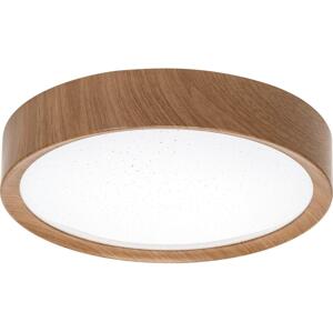 B.V.  - LED Stropní svítidlo LED/12W/230V 6500K pr. 26,3 cm