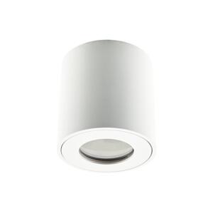 Emithor Emithor  - Koupelnové bodové svítidlo ALMAN 1xGU10/35W/230V IP44 bílá