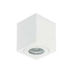 Emithor Emithor  - Koupelnové bodové svítidlo ALUX 1xGU10/35W/230V IP44 bílá