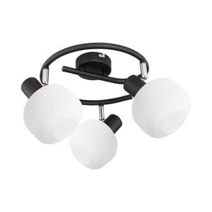 Prezent Prezent  - Bodové svítidlo ARYA 3xE14/40W/230V černá/bílá