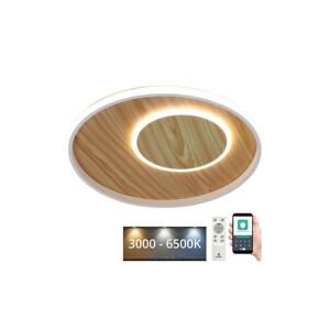 LED Stmívatelné stropní svítidlo LED/65W/230V 3000-6500K hnědá +dálkové ovládání