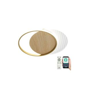 LED Stmívatelné stropní svítidlo LED/60W/230V 3000-6500K + dálkové ovládání