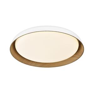 Top Light Top Light-LED Stm. stropní svítidlo SATELLITE LED/48W/230V 3000-6500K bílá + DO