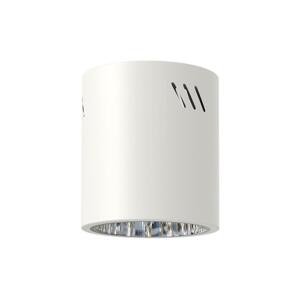 LED Bodové svítidlo GEORGE 1xE27/6W/230V pr. 11 cm bílá