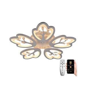 Brilagi Brilagi - LED Stmívatelný přisazený lustr LED/80W/230V 3000-6500K bílá + DO