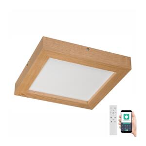 Brilagi Brilagi-LED Stmívatelné svítidlo WOODY FRAME LED/24W/230V dub 30x30 cm IP44 + DO