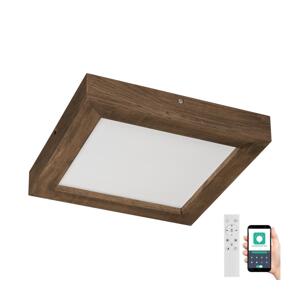 Brilagi Brilagi-LED Stmívatelné svítidlo WOODY FRAME LED/24W/230V dub 30x30 cm IP44 + DO