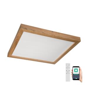 Brilagi Brilagi-LED Stmívatelné svítidlo WOODY FRAME LED/50W/230V dub 60x60 cm IP44 + DO