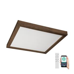 Brilagi Brilagi-LED Stmívatelné svítidlo WOODY FRAME LED/50W/230V dub 60x60 cm IP44 + DO