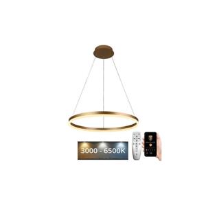 Brilagi Brilagi - LED Stmívatelný lustr na lanku CIRCLE LED/42W/230V 3000-6500K + DO