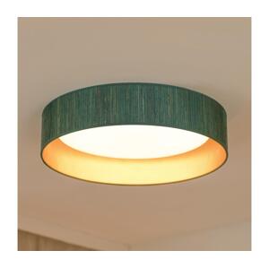 Brilagi Brilagi - LED Stropní svítidlo BOSTON ROLLER LED/24W/230V pr. 45 cm zelená/zlatá