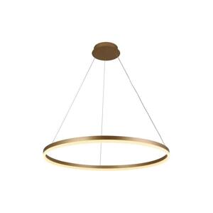 Brilagi Brilagi - LED Stmívatelný lustr na lanku CIRCLE LED/55W/230V 3000-6500K zlatá+DO