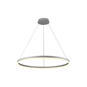 Brilagi Brilagi -LED Stmívatelný lustr na lanku CIRCLE LED/55W/230V 3000-6500K stříb.+DO