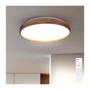 Brilagi Brilagi - LED Stmívatelné stropní svítidlo ALSON LED/48W/230V 3000-6500K + DO