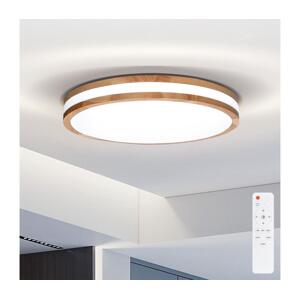 Brilagi Brilagi - LED Stmívatelné stropní svítidlo MOLINA LED/48W/230V 3000-6500K + DO
