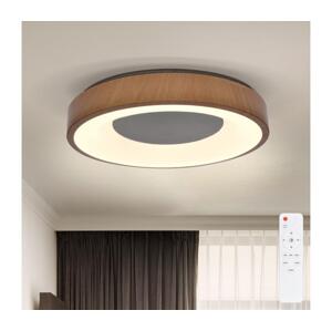 Brilagi Brilagi - LED Stmívatelné stropní svítidlo DORIA LED/48W/230V 3000-6500K + DO