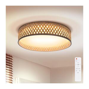 Brilagi Brilagi - LED Stmívatelné stropní svítidlo CAMILA LED/48W/230V 3000-6500K + DO