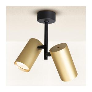 Brilagi Brilagi - Bodové svítidlo SELE VERTICAL 2xGU10/30W/230V černá/zlatá