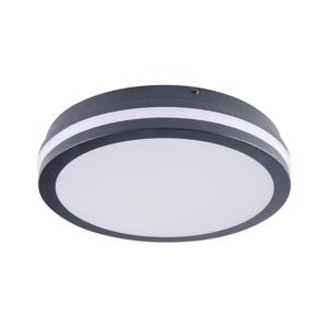 Brilagi Brilagi - LED Venkovní svítidlo BENE LED/24W/230V pr. 26 cm IP54