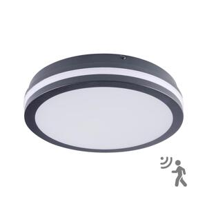 Brilagi Brilagi - LED Venkovní svítidlo se senzorem BENE LED/24W/230V pr. 26 cm IP54