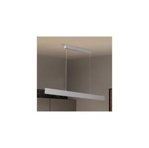 Brilagi Brilagi - LED Stmív. lustr na lanku SLIMLINE LED/40W/230V 3000-6000K stříbrná+DO