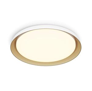 Philips Philips - LED Stmívatelné stropní svítidlo PEBBLO LED/10W/230V 2700K bílá