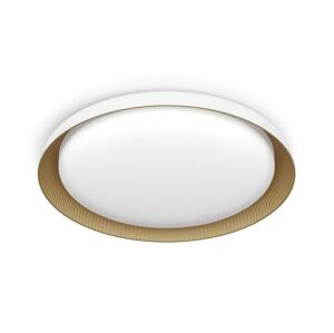 Philips Philips - LED Stmívatelné stropní svítidlo PEBBLO LED/10W/230V 4000K bílá