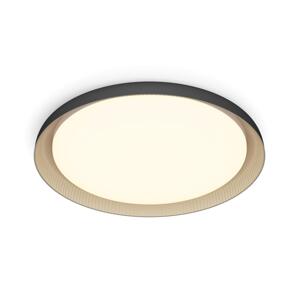 Philips Philips - LED Stmívatelné stropní svítidlo PEBBLO LED/10W/230V 2700K černá